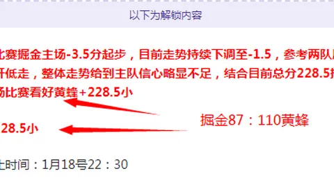 翁泓阳以2-0完胜小波波夫，荣膺2025年瑞士公开赛男单金牌